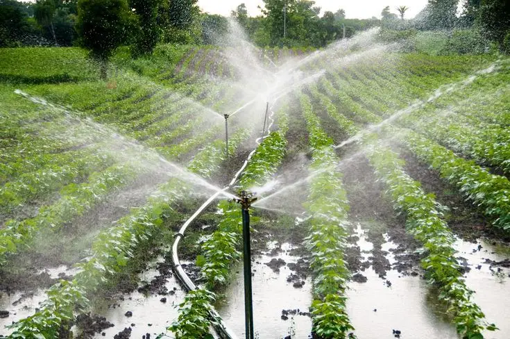 7 Factors to Consider in Selecting a Farm Irrigation System